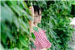 芭蕾舞鞋