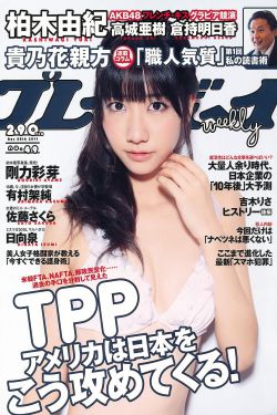 高鑫磊