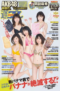 登泰山记